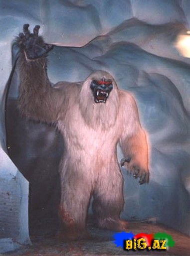 Qar adamı-Yeti tarixdə