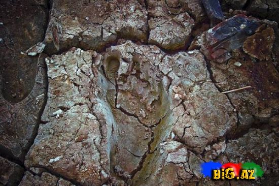 Qar adamı-Yeti tarixdə