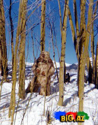 Qar adamı-Yeti tarixdə