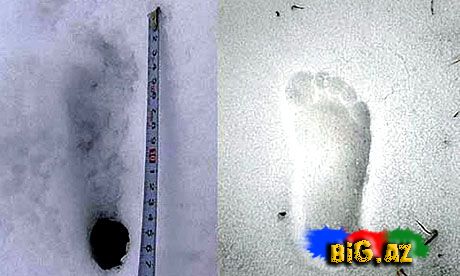 Qar adamı-Yeti tarixdə