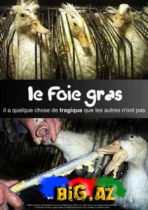 Foie Gras-Kök Qara ciyər