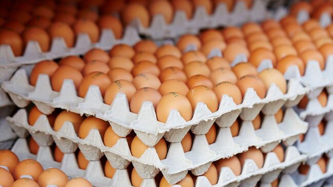 Makretlərdə köhnə yumurta satılır - Necə ayırd edək? - AÇIQLAMA