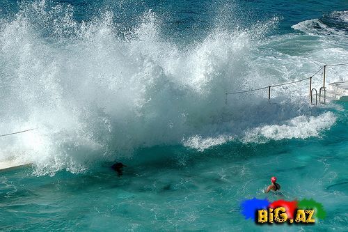 Gülməli şəkillər