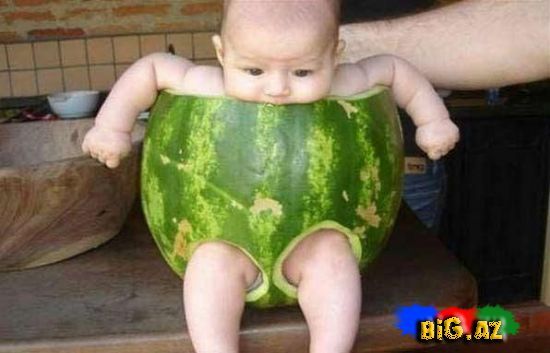 Gülməli şəkillər