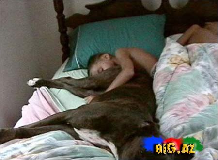 Gülməli şəkillər