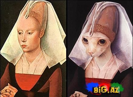 Gülməli şəkillər