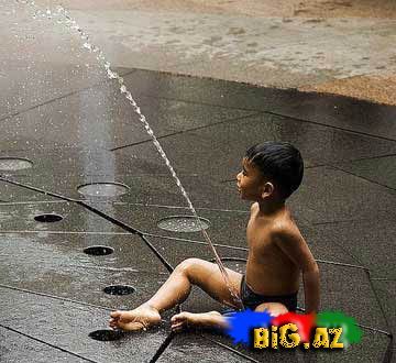 Gülməli şəkillər