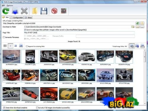 Bulk Image Downloader 3.12.0.3 Rus Retail
