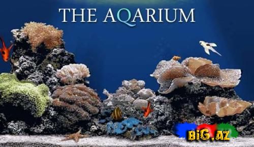 The Aquarium - v.1.00