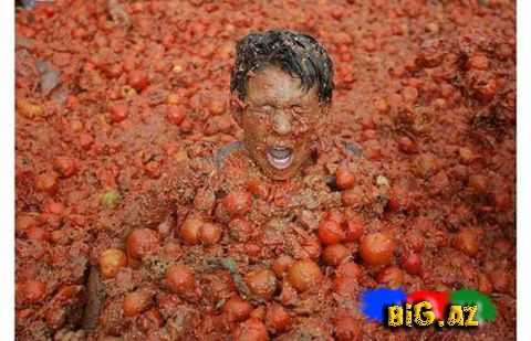 İspaniyada Pomidor Müharibəsi