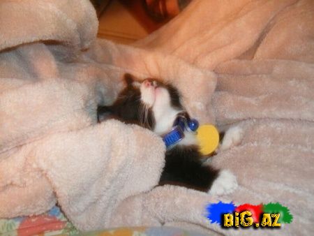 Maraqlı Şəkillər