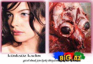 Onları diri-diri soyurlar!