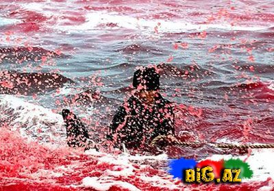 Onları diri-diri soyurlar!