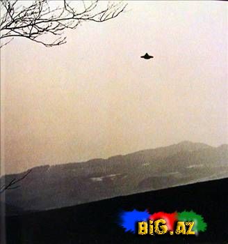 Dünyada olan xarici varlıq tipləri