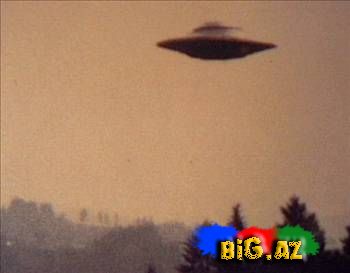 Dünyada olan xarici varlıq tipləri