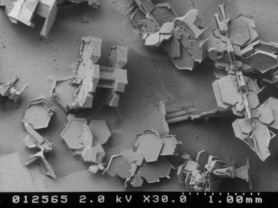Qar dənələri mikroskop altında