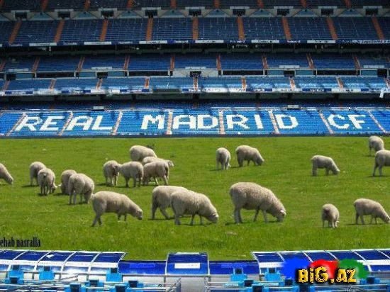 Gülməli Real Madrid şəkilləri