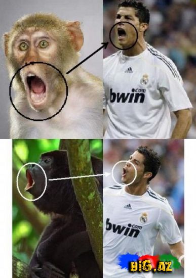 Gülməli Real Madrid şəkilləri