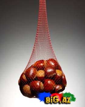 Təzyiqə qarşı 10 dərman