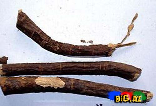 Təzyiqə qarşı 10 dərman