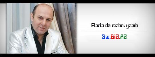 Elariz də mahnı yazıb