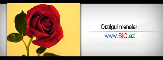 Qızılgül mənaları