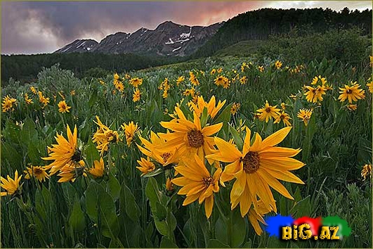 Zövqünüzü oxşayacaq mükəmməl mənzərələr - FOTO