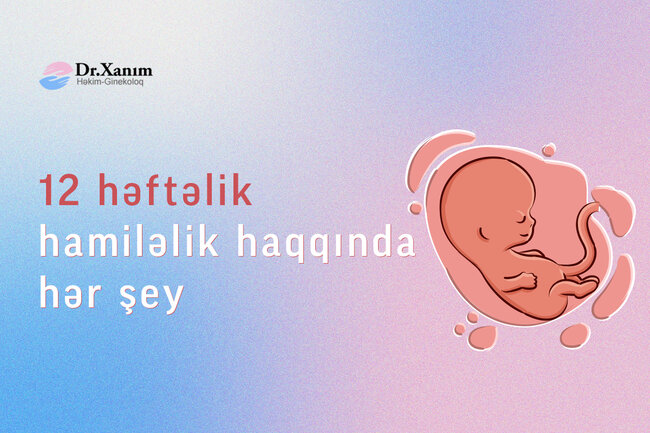 12 həftəlik hamiləlik haqqında bilməyiniz gərəkən hər şey – Mama-ginekoloq Xanım Adıgözəlova