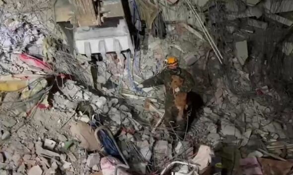 FHN-in xilasediciləri Türkiyədə 51 nəfəri dağıntılar altından sağ çıxarıb - FOTO/VİDEO