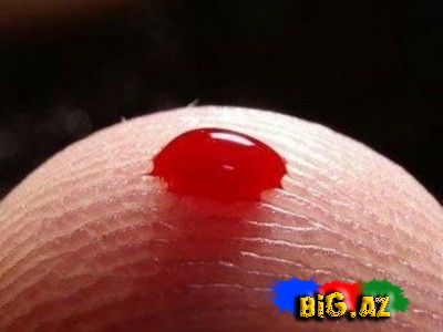 Qadın ilə kişi arasındakı 50 fərq