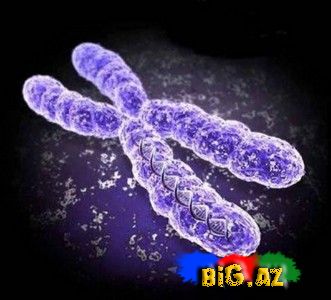 Qadın ilə kişi arasındakı 50 fərq