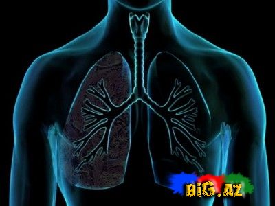 Qadın ilə kişi arasındakı 50 fərq