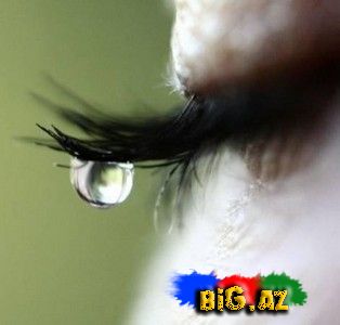 Qadın ilə kişi arasındakı 50 fərq