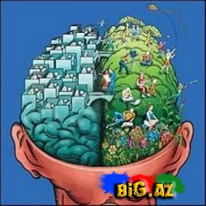 Qadın ilə kişi arasındakı 50 fərq