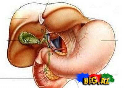 Qadın ilə kişi arasındakı 50 fərq