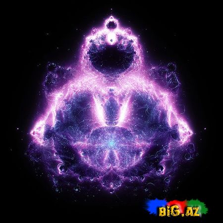 Ən maraqlı şəkillər 2011