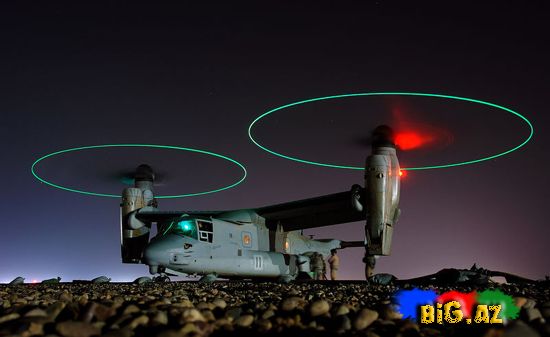 Ən maraqlı şəkillər 2011