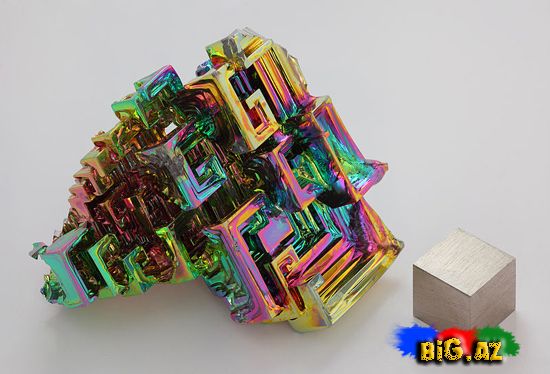 Ən maraqlı şəkillər 2011