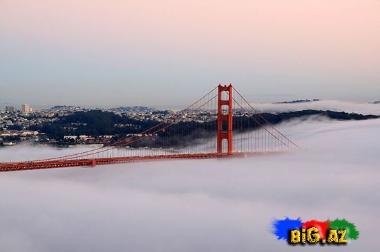 Ən maraqlı şəkillər 2011