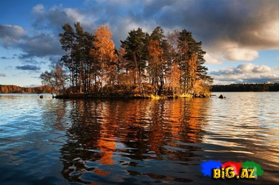 Ən maraqlı şəkillər 2011