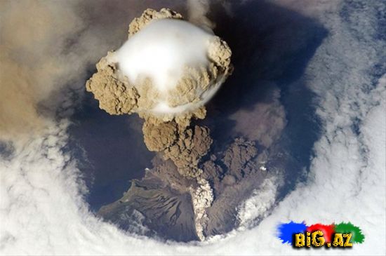 Ən maraqlı şəkillər 2011