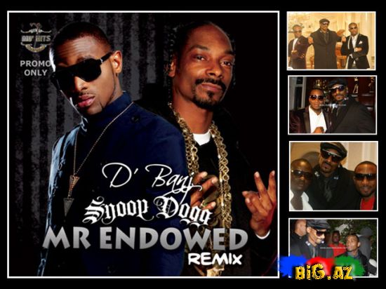 Snoop Dogg Ft. D'Banj - So Endowed (Remix) [2011] [Klip,Mp3]