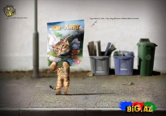 Maraqlı reklam şəkilləri