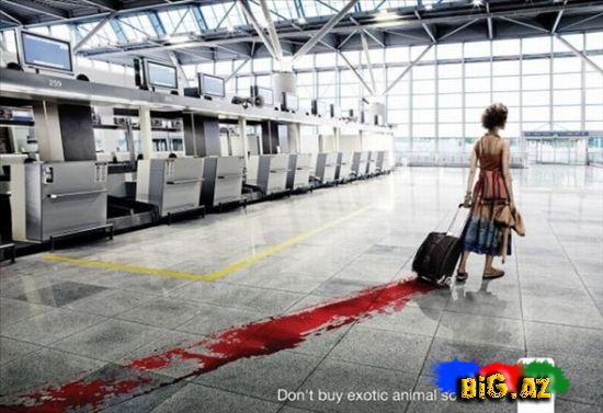 Maraqlı reklam şəkilləri