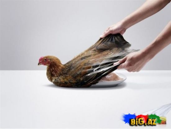 Maraqlı reklam şəkilləri