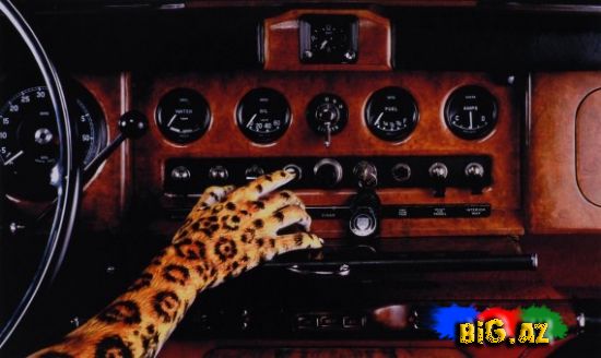 Maraqlı reklam şəkilləri