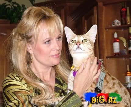 Dünyanın ən uzun pişiyi [Foto]