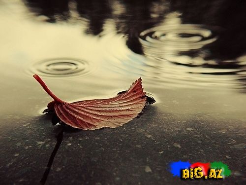 Yağ ey yağış [Foto]