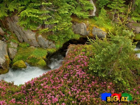 Gəzməli görməli yerlər (Foto)