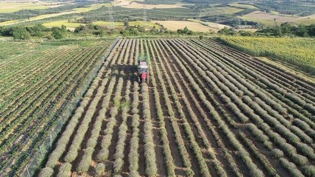 Bir damla su istəmədən SƏRVƏT QAZANDIRIR